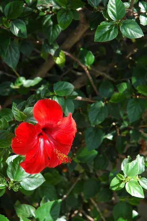 Nyaraló Dammusi Di Venere - U Locu Villa Bugeber